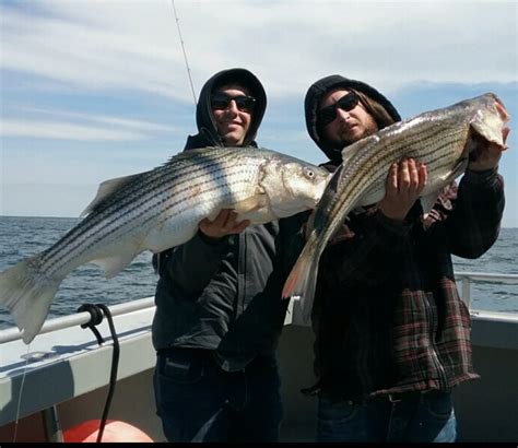 stripersonline nj|Guide to Striper Fishing in New Jersey.